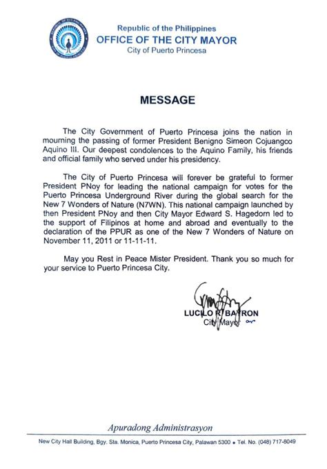 city government of puerto princesa contact number|City Government of Puerto Princesa .